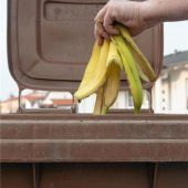 Keine Biotonne – auch nicht als Versuch