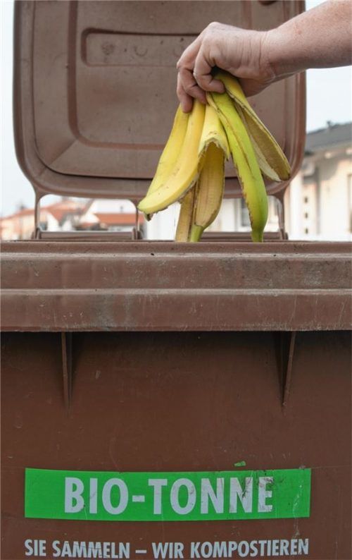 Von oben verordnet: Rosenheim möchte keine Bio-Tonne einführen. Foto dpa