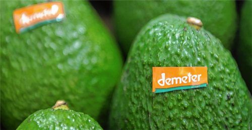 Voll im Trend in der Region: Bio-Obst und -Gemüse – hier Avocados – mit einem Verbundssiegel wie das von Demeter noch beliebter. Fotos re/dpa