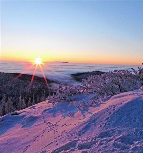 Vom Lusen aus eröffnet sich ein traumhafter Blick auf die verschneite Landschaft. Foto  rgz/Ferienregion NP Bayer. Wald/Daniel Eder