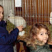 Traditionsausstellung ein Erfolg