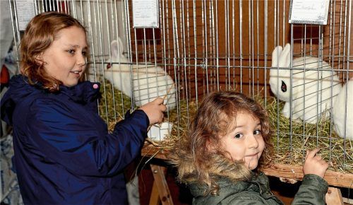 Vor allem für die Kinder war die Zuchtausstellung ein echter Höhepunkt.Foto bauer