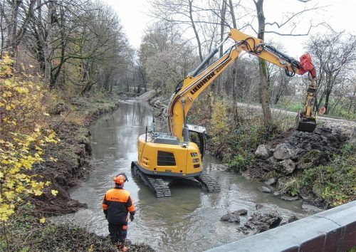Was macht der Bagger in der Rott?