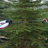 Die Christbaum-Saison ist eröffnet