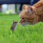 Blende 2017: „Schau mir in die Augen, Kleines“