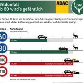 Mehr Wildunfälle als je zuvor