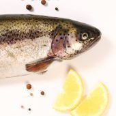 Welcher Fisch darf zum Fest noch auf den Tisch?
