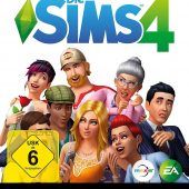 Konsolen-Version ohne Mehrwert