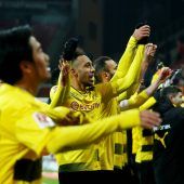 Stöger singt Loblied auf Vorgänger Bosz