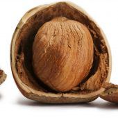 Nüsse: Kalorienreich, aber sehr gesund