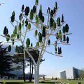 Der Wind in den Weiden