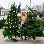 Der Christbaum aus Sicht des Finanzamts