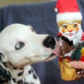 Gefährliche Versuchung