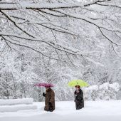 Jede Menge Neuschnee im alten Jahr