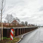 Bergahorn für die Spundwand-Buchten