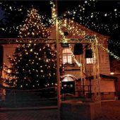 Eine Stadt und ihre Lichter: Christbäume leuchten in der Weihnachtszeit