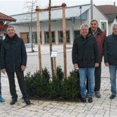 Baumpflanzaktion am Kirchplatz