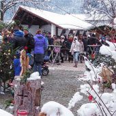 Bergener Advent lockt 14000 Besucher in den Kurpark