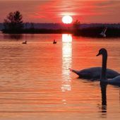 Chiemsee-Kalender mit Motiven, die selbst Einheimische oft nicht kennen