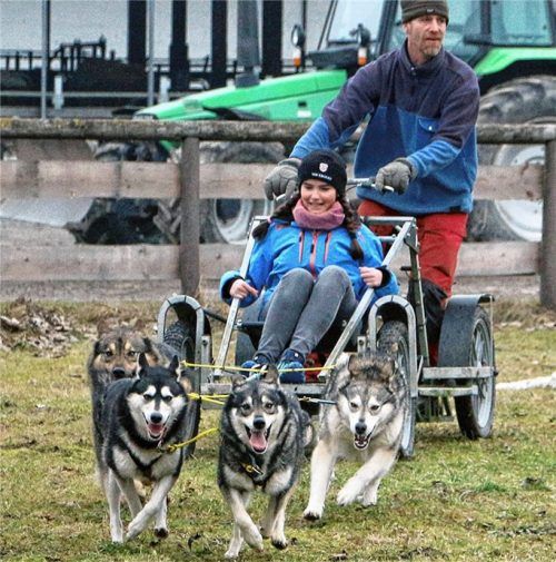 Der Hundeschlitten-Workshop begeisterte schon bei „Almrausch 2017“. Für 2018 hofft man auf Schnee und entsprechende Schlittenfahrten. Foto Stache