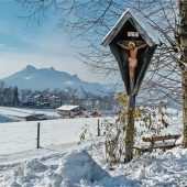 Grünes Licht für Bürgerantrag