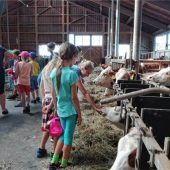 Ferienprogramm und Satzung