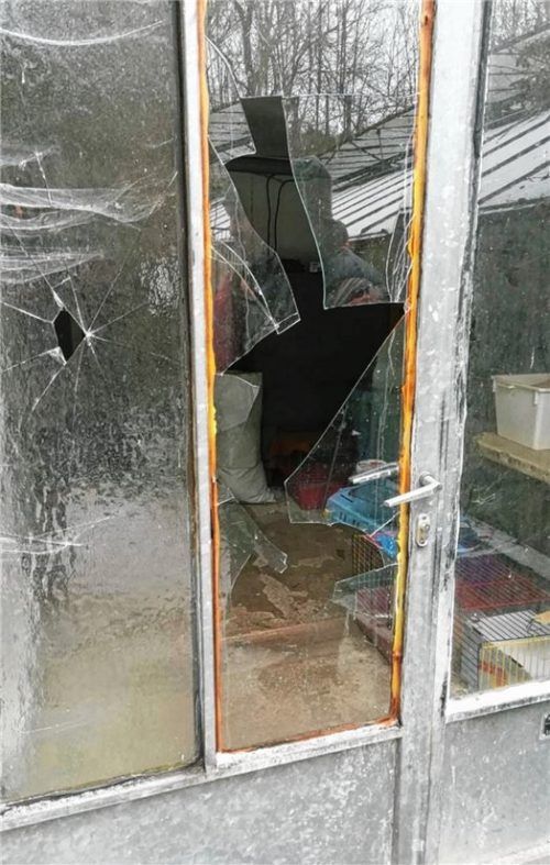 Die Tür zur Igelstation wurde eingeschlagen. Direkt dahinter befindet sich der erste Käfig mit einem Igel. Dieser wurde aber durch die Glasscherben nicht verletzt.