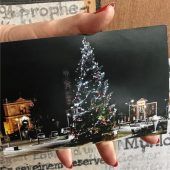 Bayerischer Baum grüßt aus Italien