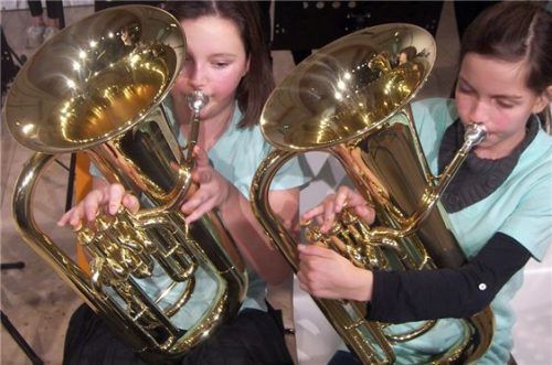 Engagiertes Tubadoppel beim Weihnachtskonzert der Mädchenrealschule. Foto Auer