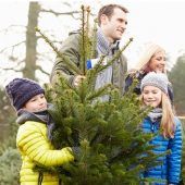 Wieder preiswerte Christbäume für OVB-Leser