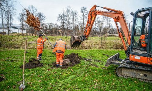 Insgesamt 25 neue Laubbäume pflanzten die Stadtgärtner im Spinnereipark.Fotos Buhleier