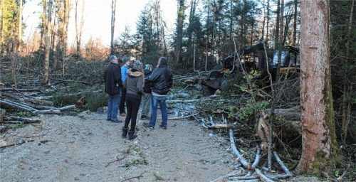 Kastenau: Baumfällungen im Landschaftsschutzgebiet