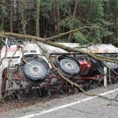 Kipper landet im Wald – Fahrer (25) bleibt unverletzt