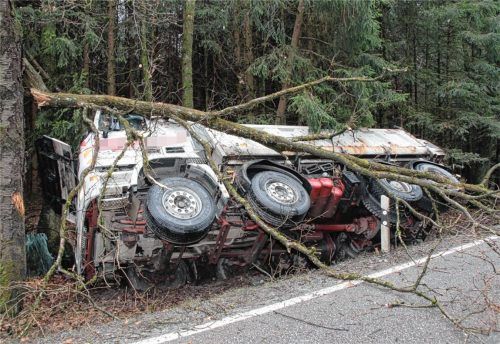 Kipper landet im Wald – Fahrer (25) bleibt unverletzt