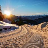 Natur-Rodelbahn am Brünnstein ab sofort befahrbar