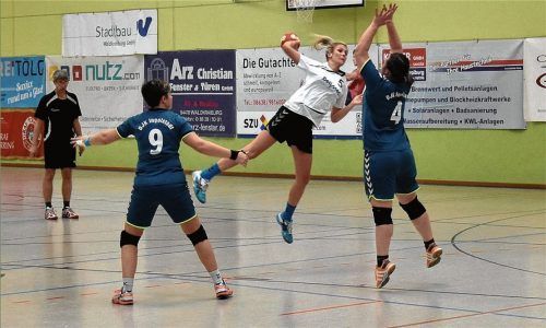 Seit 2016/17 müssen die Handballer so wie alle andereb Sportvereine Nutzungsentgelt für die Sportstätten bezahlen.