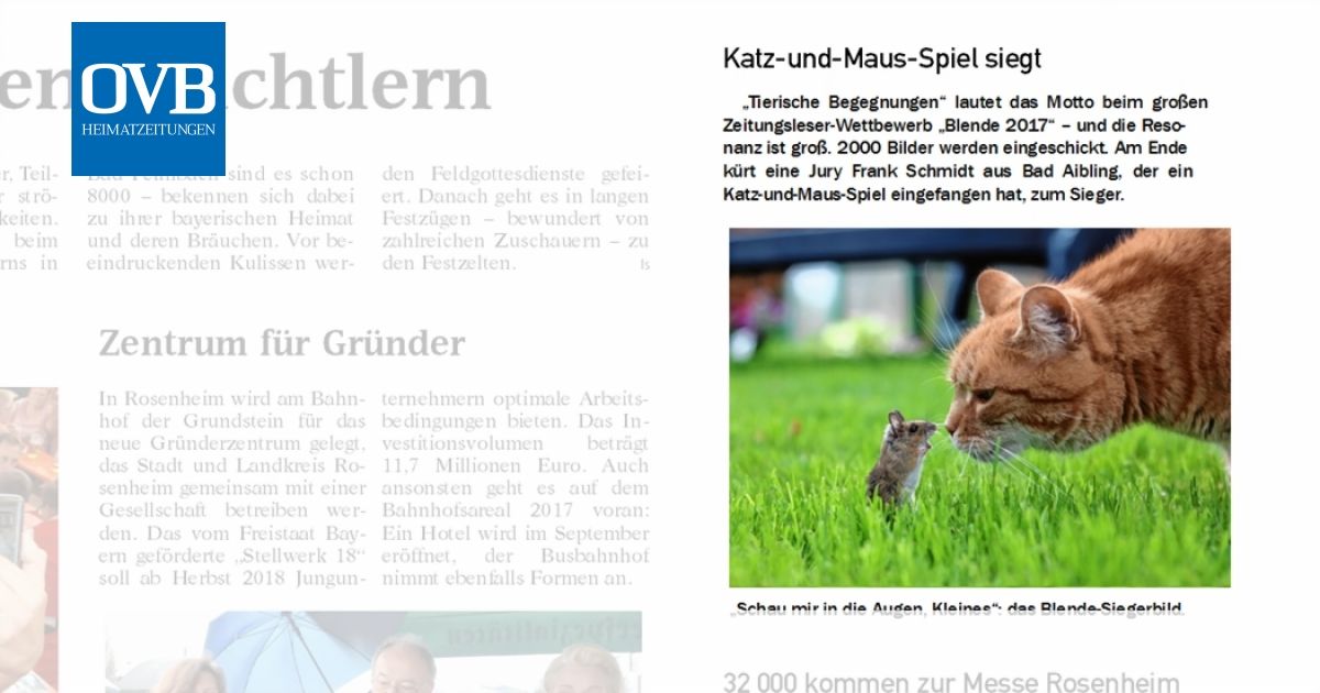 KatzundMausSpiel siegt OVB Heimatzeitungen