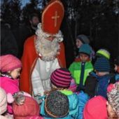 Weihnacht im Wald