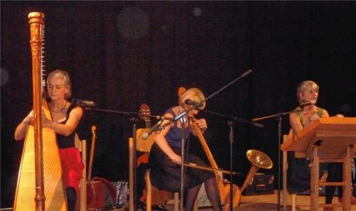 Stubnmusik als Allheilmittel auch in der Politik – die 3 Wellküren servierten Musik und „Rezepte“.