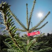 Weihnachtsmarkt beim OVB-Druckzentrum