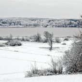 Winter überzuckert die Landschaft