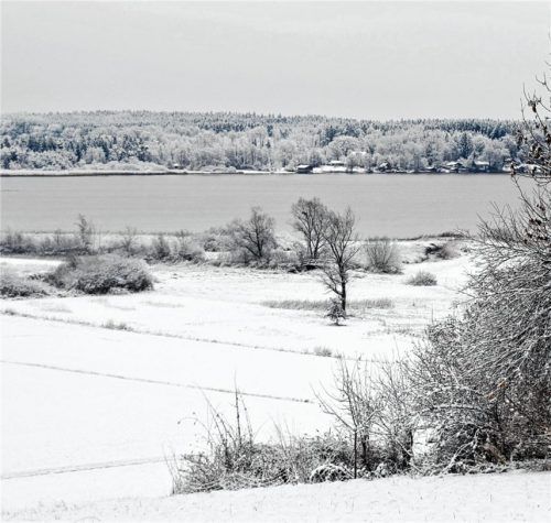 Winter überzuckert die Landschaft