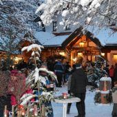 Winter-Zauber-Wald in Staudach-Egerndach
