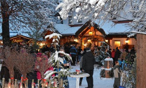 Winter-Zauber-Wald in Staudach-Egerndach