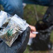 Ach du grüne Neune, Berlin!