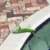 Australien: 85 Grad heißer als die USA