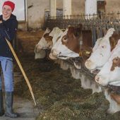 Die Frauen für alle Fälle und Ställe