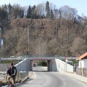 Sägen am Baumschutz