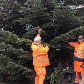 Abschied von einem der schönsten Christbäume der letzten Jahre