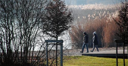 Ausgedehnte Spaziergänge zum Start ins neue Jahr